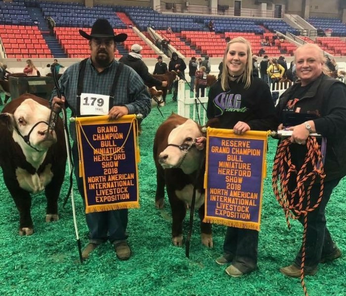 NAILE 2018, Grand and Reserve bulls along with the Premier Exhibitor.  Congrats to the H and R crew!