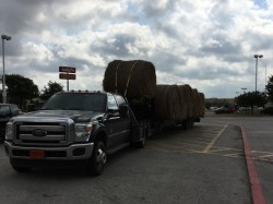 We donate hay to the Endangered Ark Foundation, it's really awesome to say to people that our hay feeds elephants!