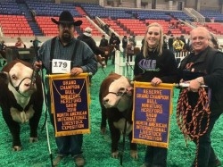 H and R Ranch swept the bull show!  This is a rare event and we couldn't have been happier that it happened with our boys, Sully and Whiskey.