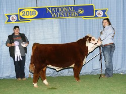 Sully, not only a reserve division champion but also reserved the get of sire class.