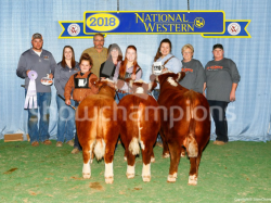 Sully in the reserve champion get of sire entry.  The arena was packed from end to end with cattle!