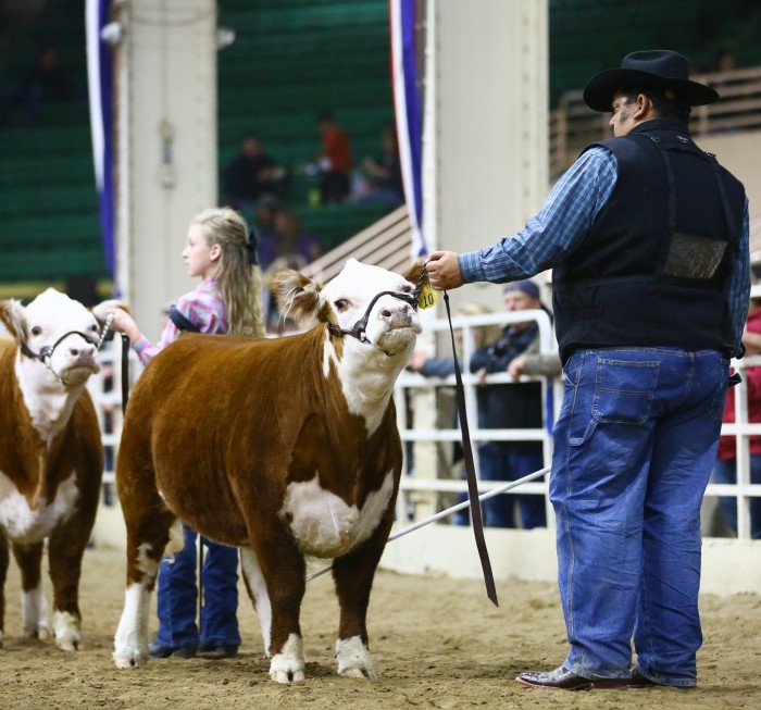 Playgirl 2019 NWSS