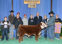 Whiskey NAILE backdrop 2018